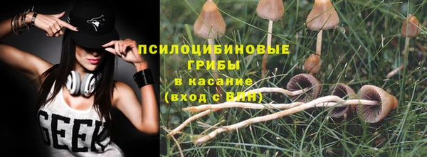 герыч Магас