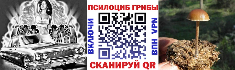 Галлюциногенные грибы GOLDEN TEACHER  hydra зеркало  Серпухов 