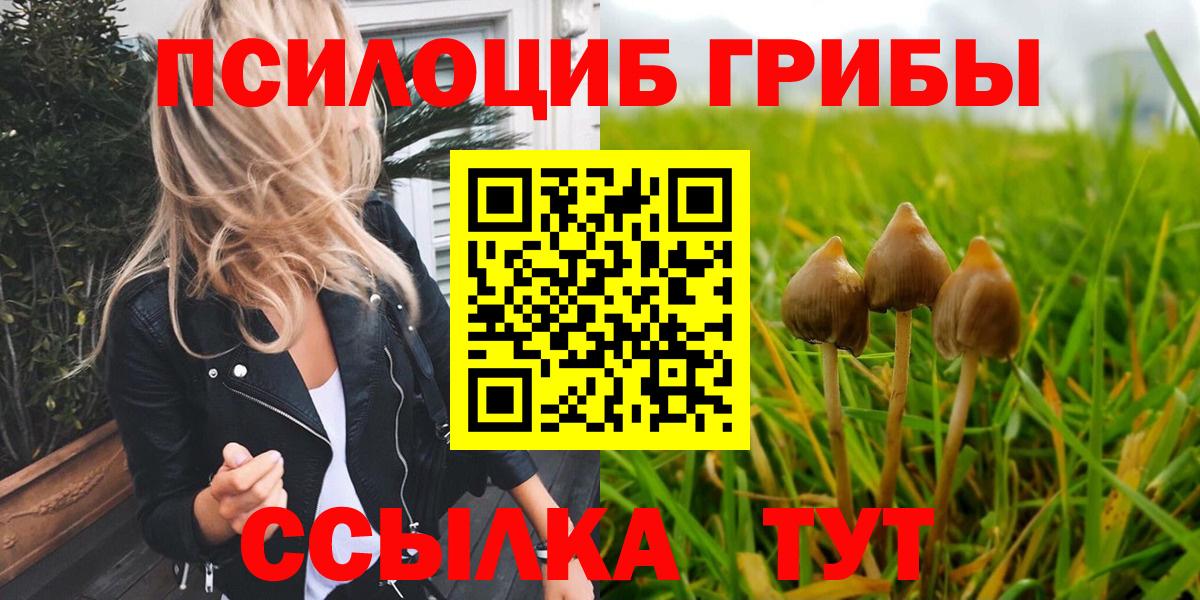 Галлюциногенные грибы ЛСД  Вход с VPN  Галлюциногенные грибы Psilocybine cubensis  Серпухов 